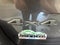 2019 Jeep Grand Cherokee Trailhawk