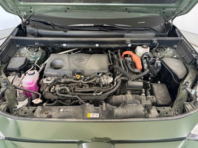 2025 Toyota RAV4 Hybrid Woodland Edition