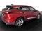2019 Acura RDX Advance Package SH-AWD
